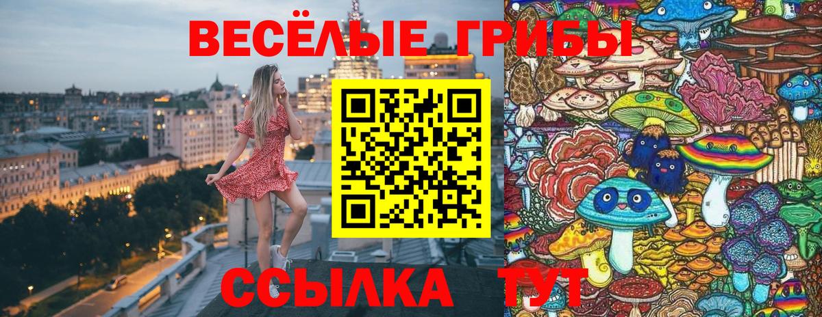 Меф МЯУ МЯУ   Моздок  КОКАИН  Гашиш  Вход с VPN  Канабис 